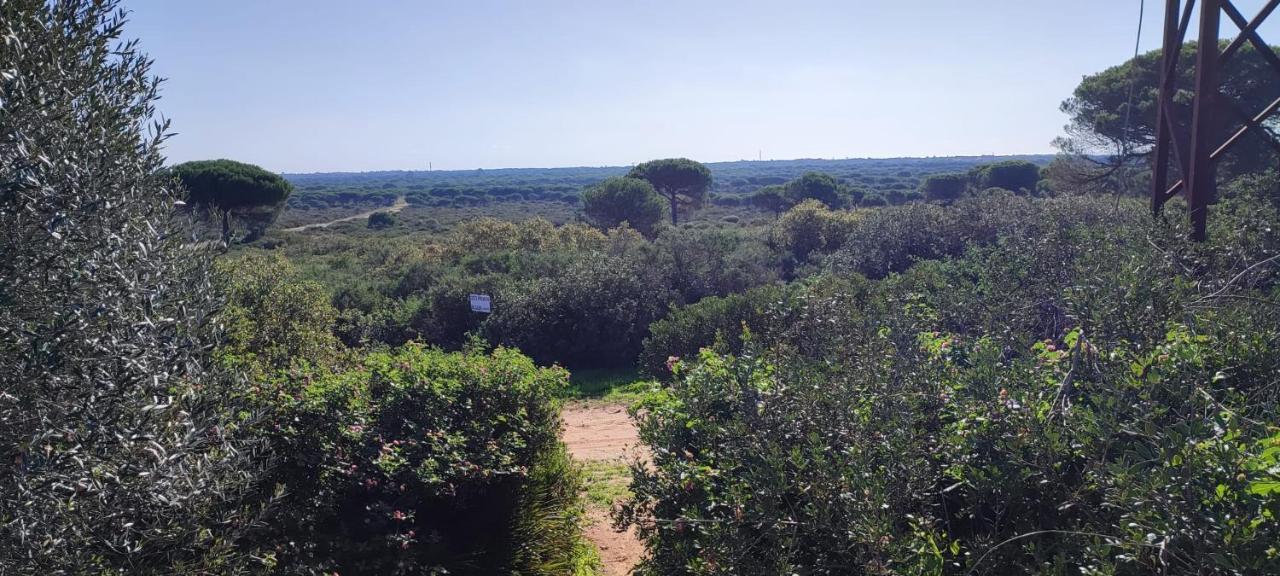 Casa En Loma Sancti Petri A 900 M De La Playa De La Barrosa Holiday home